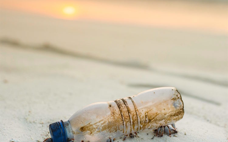 une organisation britannique pointe combat plastique pollution environnement 
