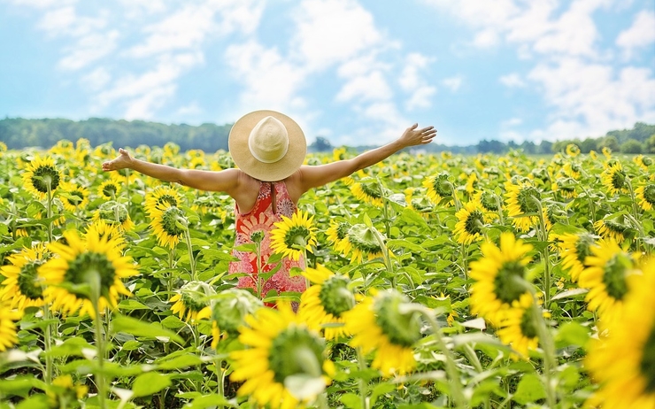 Sunflowers girl happy Pixabay