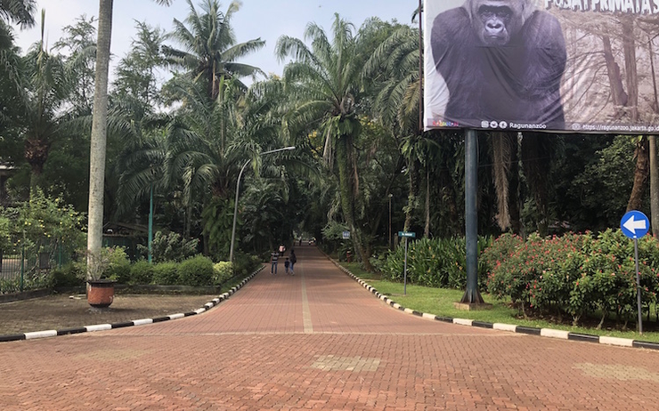 Raunan zoo poumon vert Jakarta 