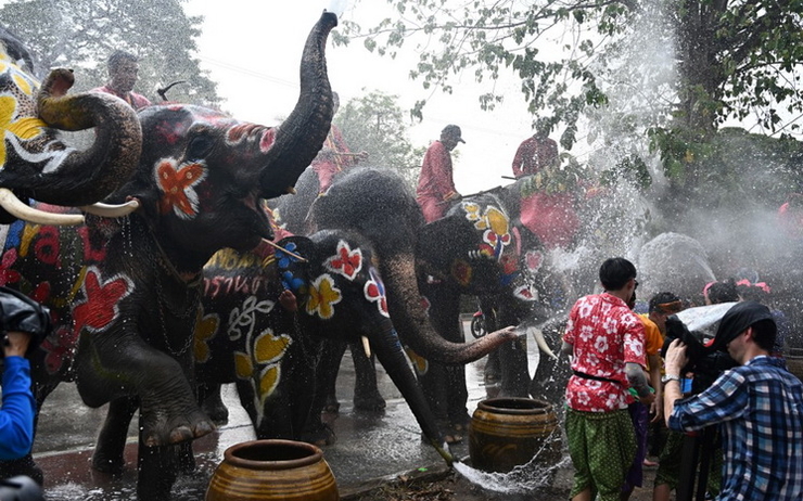 Songkran-elephant-Thailande