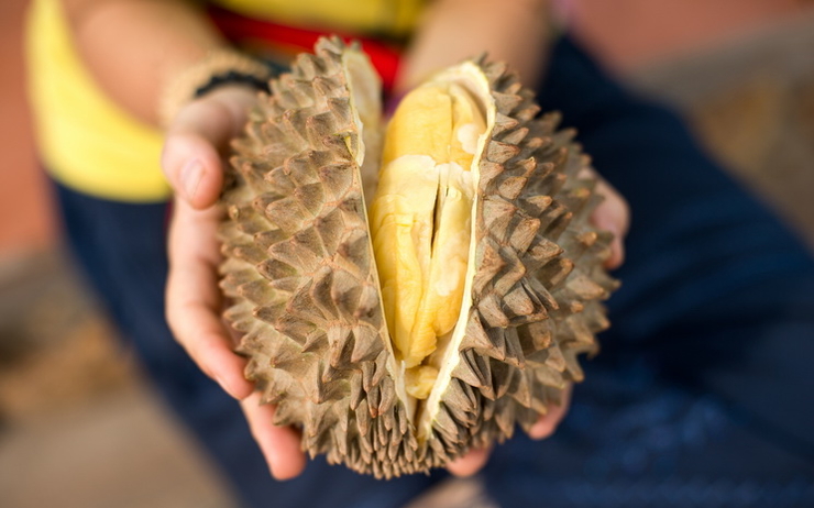 le durian, fruit tres odorant mais populaire en Thailande