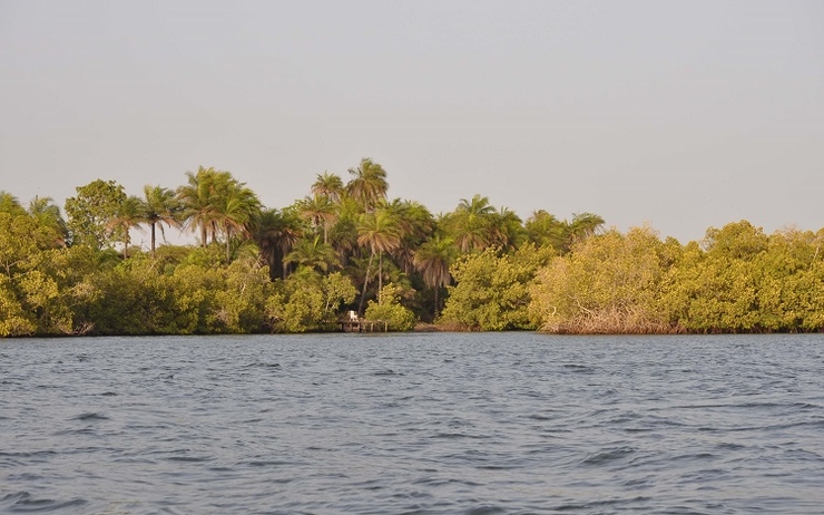 casamance bolong egueye pirogue mangrove senegal