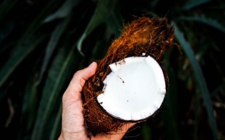 Les bienfaits de la noix coco - fruits du Brésil- noix de coco- eau de coco - huile de coco