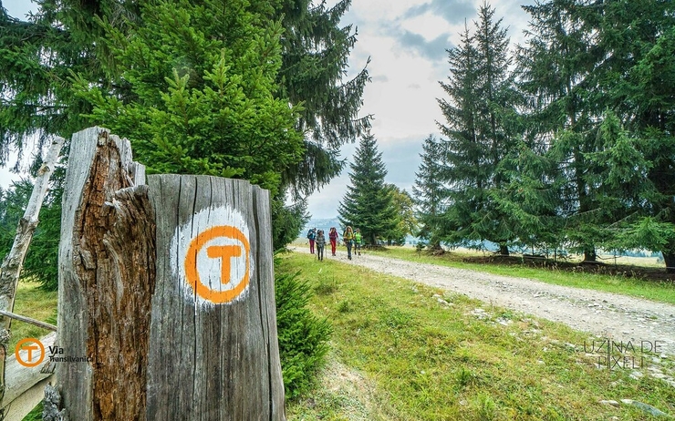 via transilvanica sentier randonnée transylvanie roumanie tourisme 
