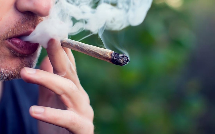 joint marijuana weed legislation loi turquie