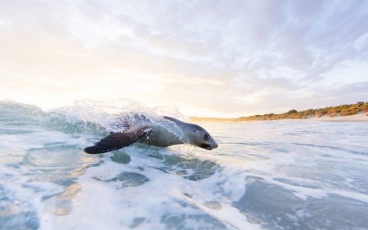 New Zealand Geographic Nature Photographer of the Year