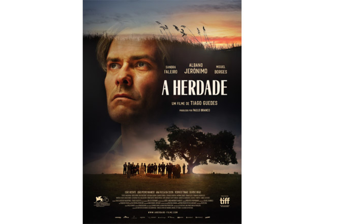 Tiago Guedes film Herdade