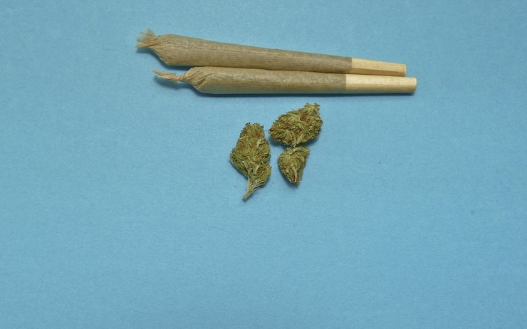 cannabis legalisation ACT