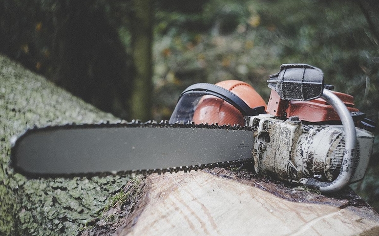 chainsaw_trees_forest_-_pixabay