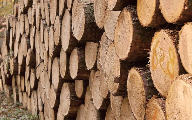roumanie gouvernement veut interdire exporations grumes bois en dehors Union européenne 