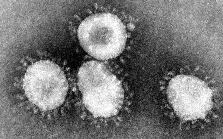 coronavirus cambodge sihanoukville