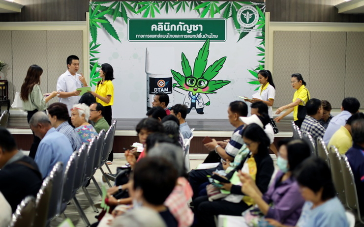 Clinique-cannabis-thailande-