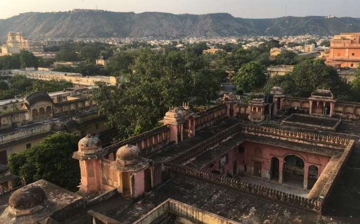 Jaipur rose Rajasthan Inde