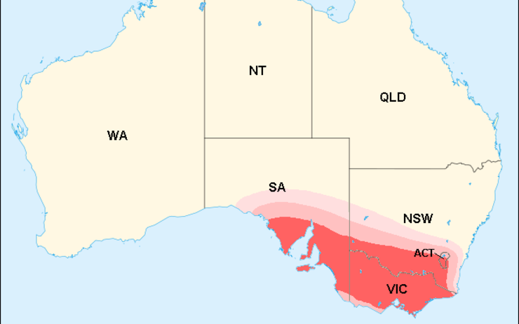 Victoria NSW evacuer zones