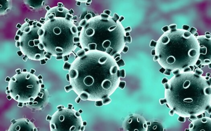 coronavirus defenses immunitaires