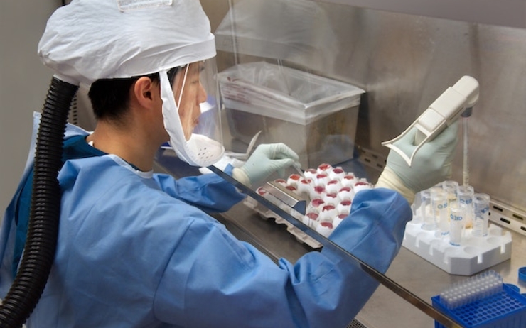 Les EAU ont assez de médicaments pour lutter contre une épidémie de Coronavirus