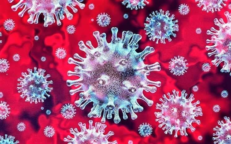 Faits sur le coronavirus de Wuhan