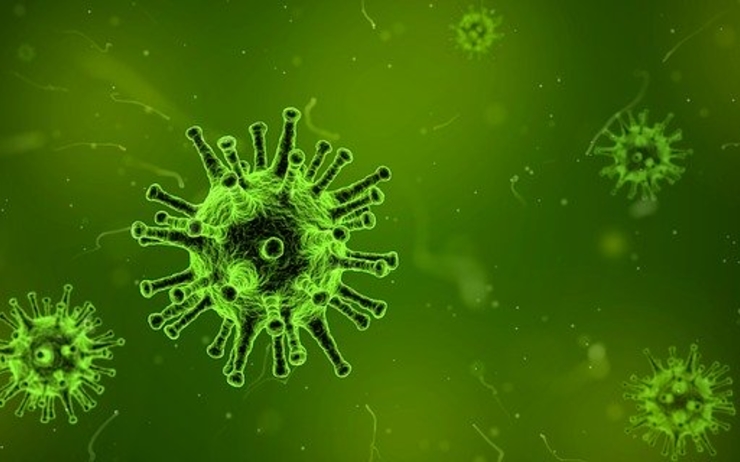 virus coronavirus roumanie premier cas