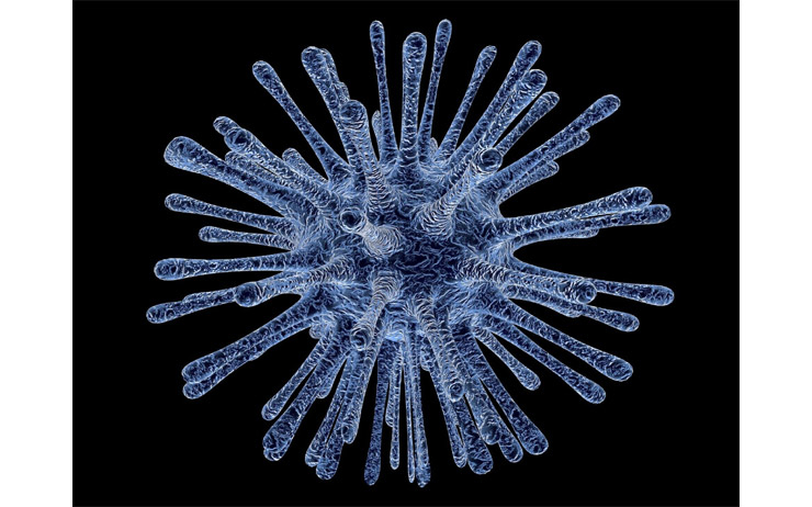 Coronavirus (Covid 19)