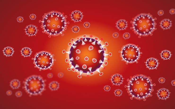 coronavirus cas confirmes