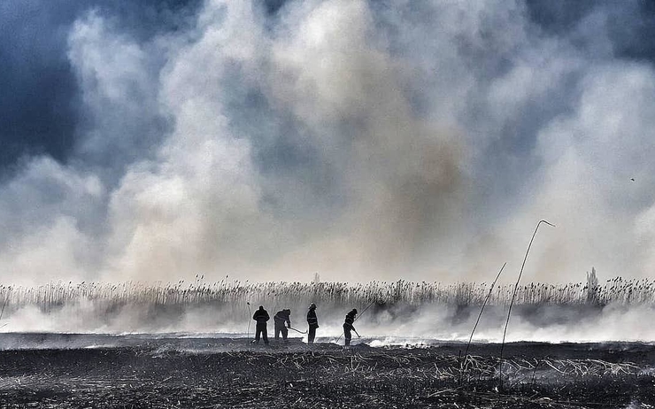 Un «air irrespirable» à Bucarest suite à un incendie de végétation roumanie