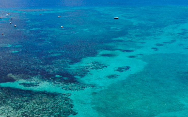 Financement recherche sauver barrière de corail Australie