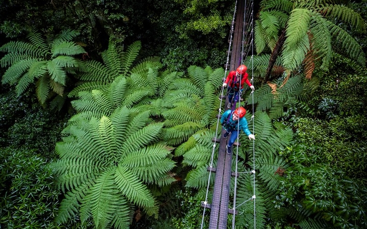 excursion tyrolienne forêt Rotorua