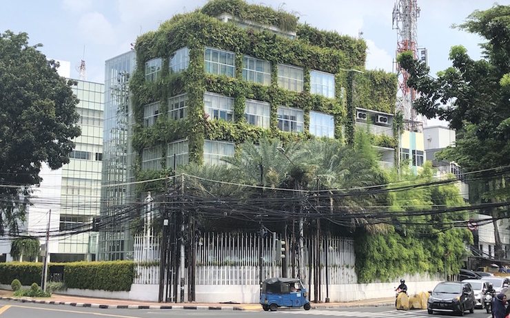Immeuble couvert de végétation à Jakarta