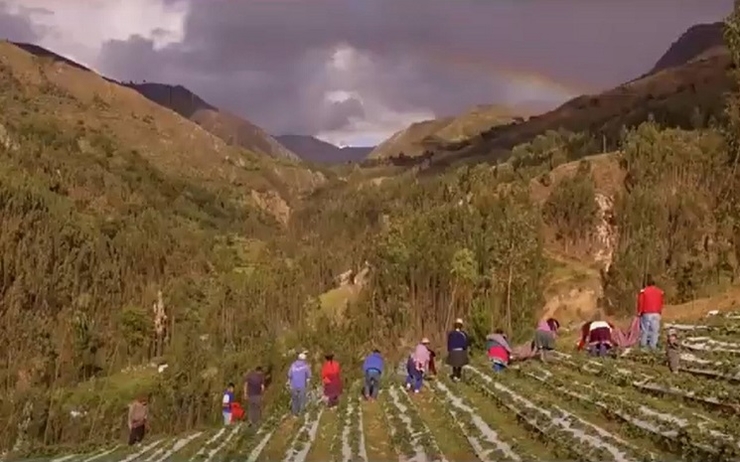 voix agriculture familiale Pérou suco formagro