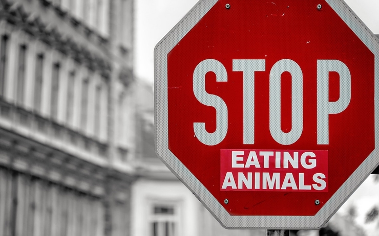 stop animal manger viande