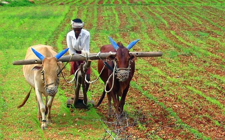 inde agriculture liberalisation 2020
