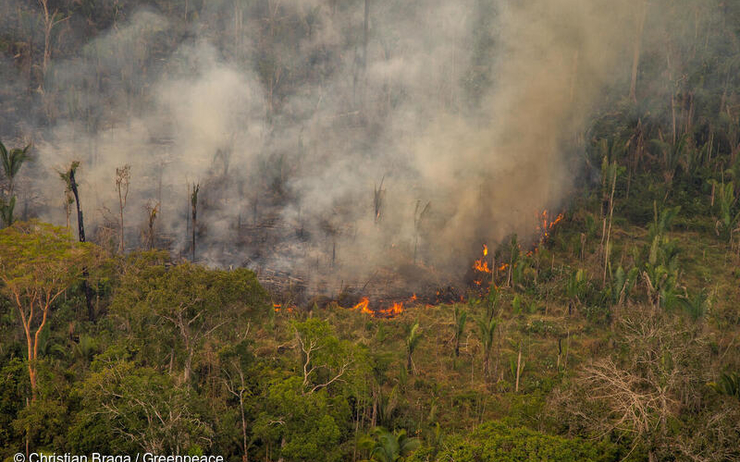 Amazonie Incendies 