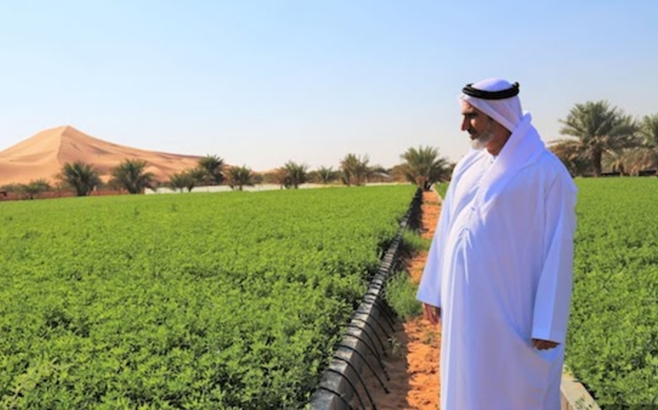 agriculture UAE 