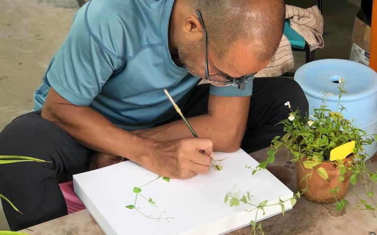 vietnam peintre naturaliste dao van hoang