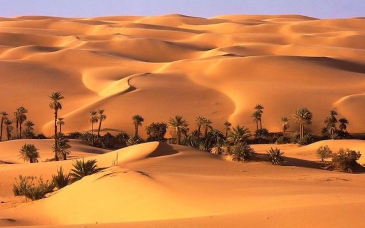 désert Dubai