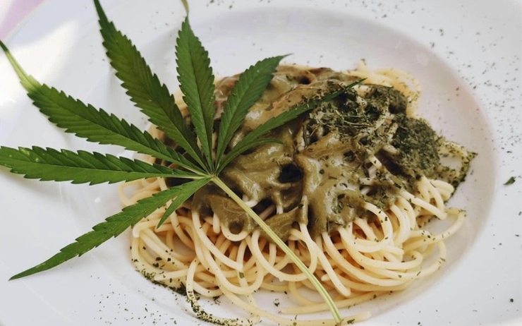 cuisine cannabis chiang mai