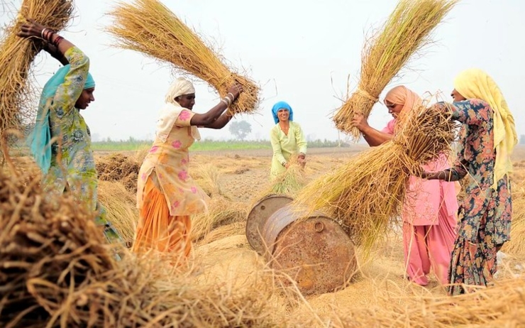 femmes journee manifestation agriculture inde