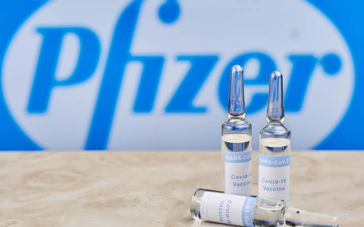vaccin pfizer variant brésilien