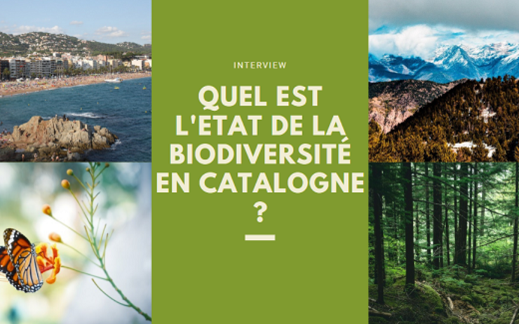 biodiverstié catalogne
