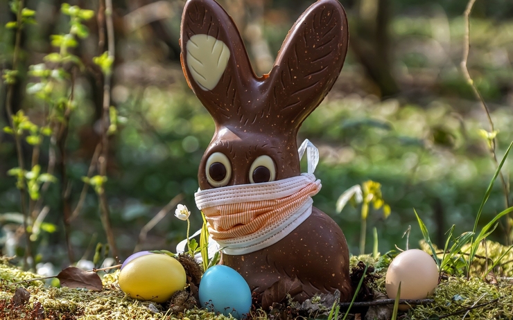 Pour Pâques, un lapin en chocolat masqué est caché dans un jardin