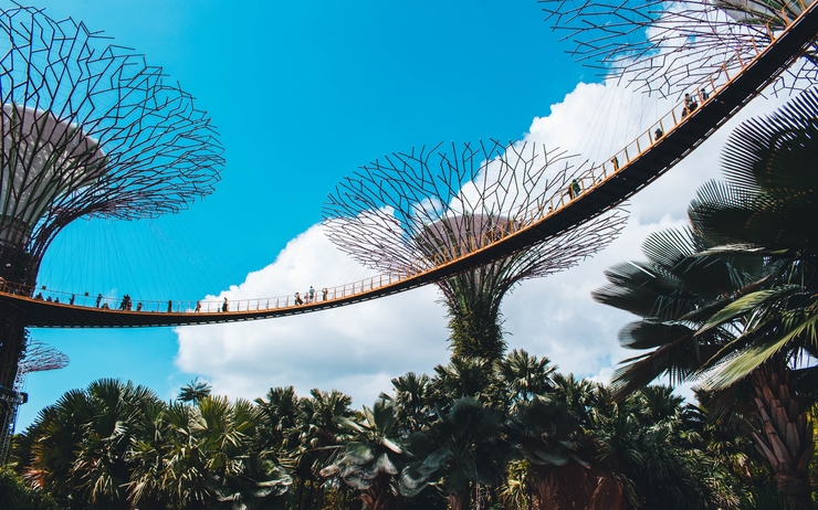 Les supertrees de Singapour