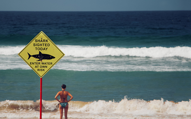 Danger signalé dans le baie des citrons à Nouméa, des requins on été apercu à 100 mètres de la plage 