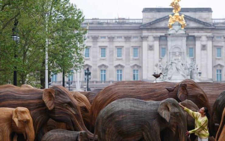 Des éléphants en bois devant Buckingham Palace