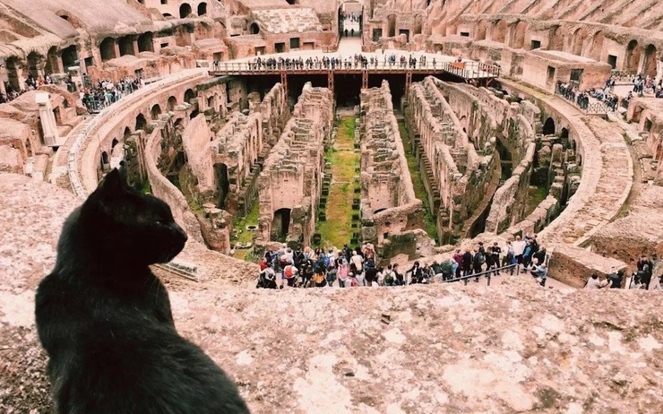Nerina observant le Colisée
