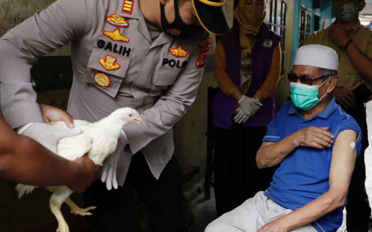 Un homme recoit un poulet apres sa vaccination en Indonesie