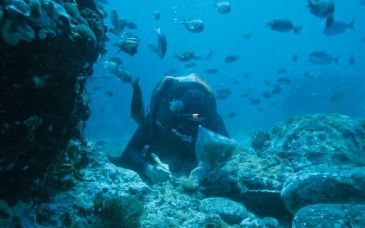 un plongeur sous-marin 