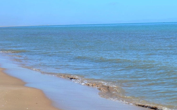 plages polluées tunisie