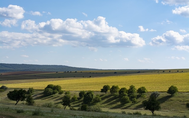 paysage vert de collines en Dobrogea en Roumanie