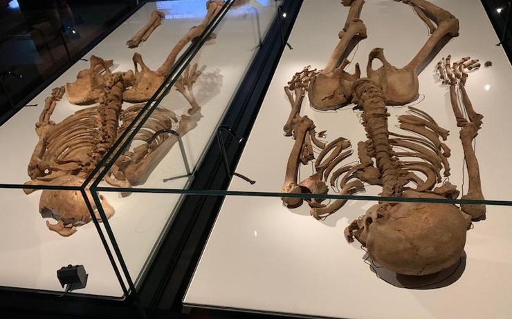 Les squelettes des deux vikings au Musée National du Danemark à Copenhague 