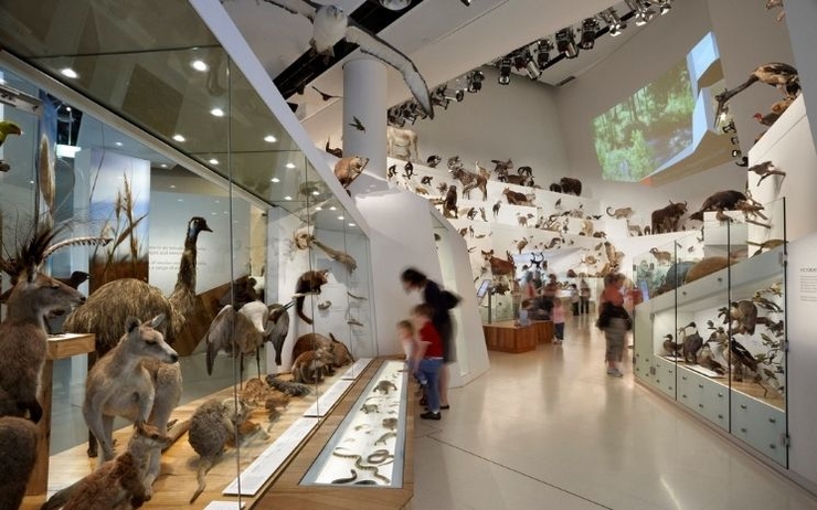 Exposition vie et science au musée de Melbourne